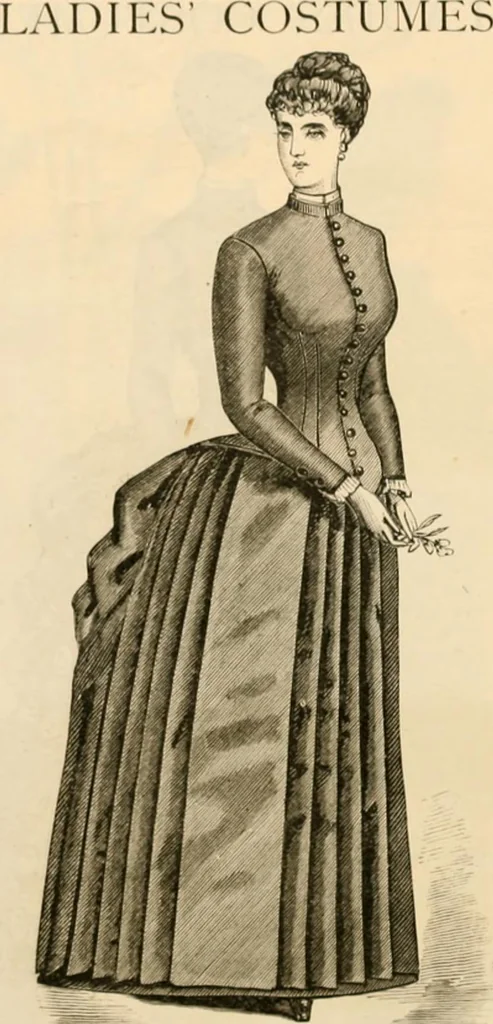 An illustration from Illustrated catalogue and shopping guide., 1886, leaf 5