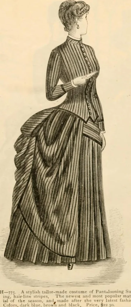 An illustration from Illustrated catalogue and shopping guide., 1886, leaf 5