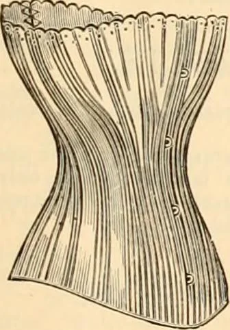 An illustration from Illustrated catalogue and shopping guide., 1886, leaf 54