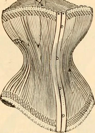 An illustration from Illustrated catalogue and shopping guide., 1886, leaf 54