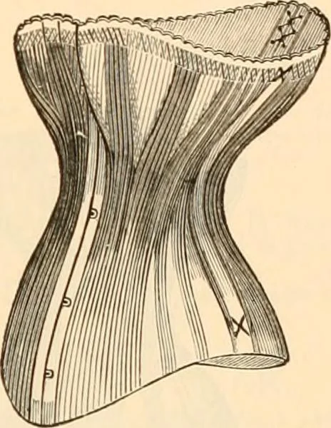 An illustration from Illustrated catalogue and shopping guide., 1886, leaf 54