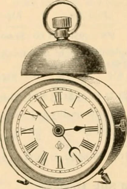 An illustration from Illustrated catalogue and shopping guide., 1886, leaf 63