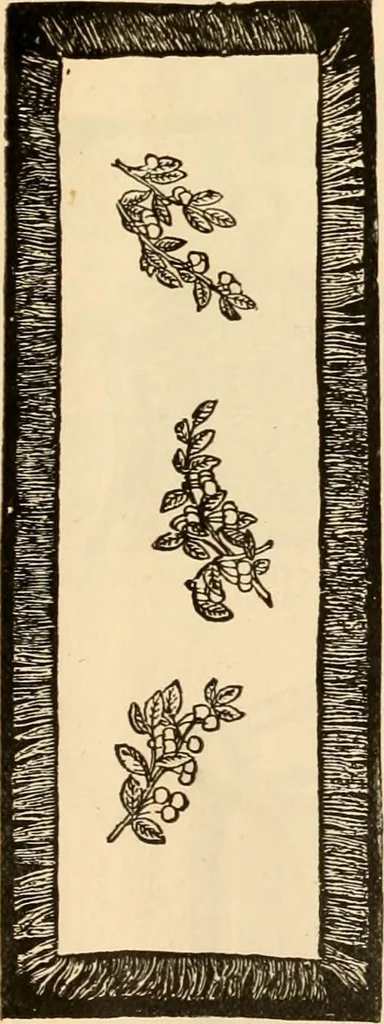 An illustration from Illustrated catalogue and shopping guide., 1886, leaf 68