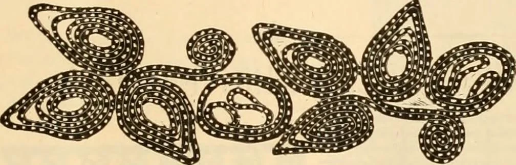 An illustration from Illustrated catalogue and shopping guide., 1886, leaf 72