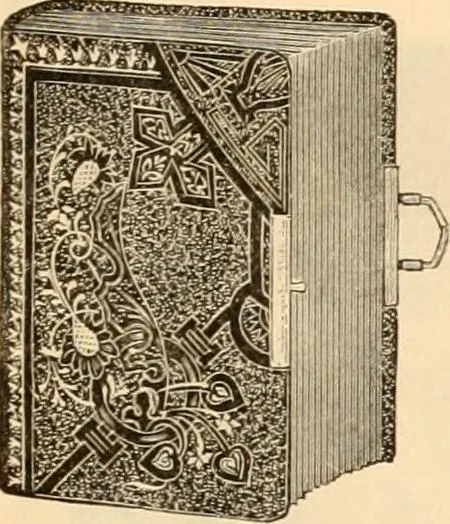 An illustration from Illustrated catalogue and shopping guide., 1886, leaf 74