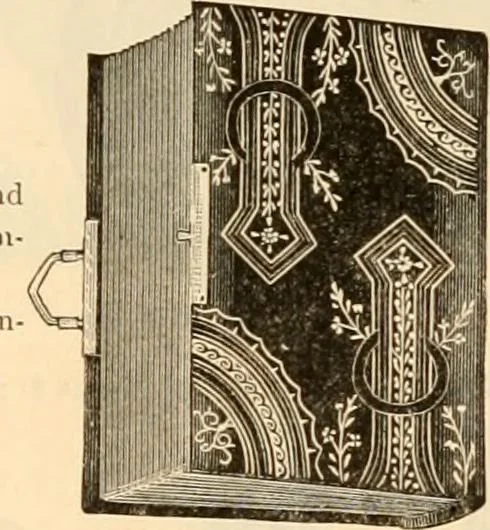 An illustration from Illustrated catalogue and shopping guide., 1886, leaf 74
