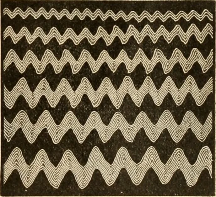An illustration from Illustrated catalogue and shopping guide., 1886, leaf 76