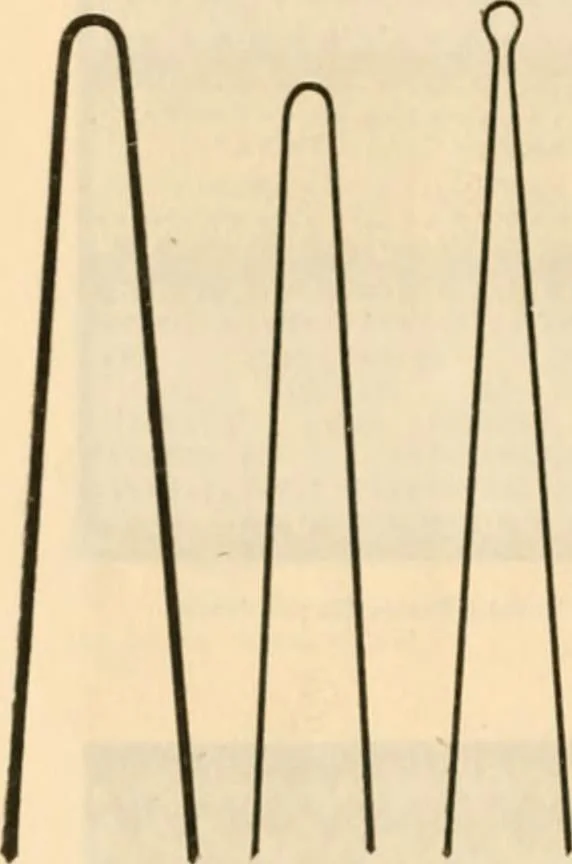 An illustration from Illustrated catalogue and shopping guide., 1886, leaf 77