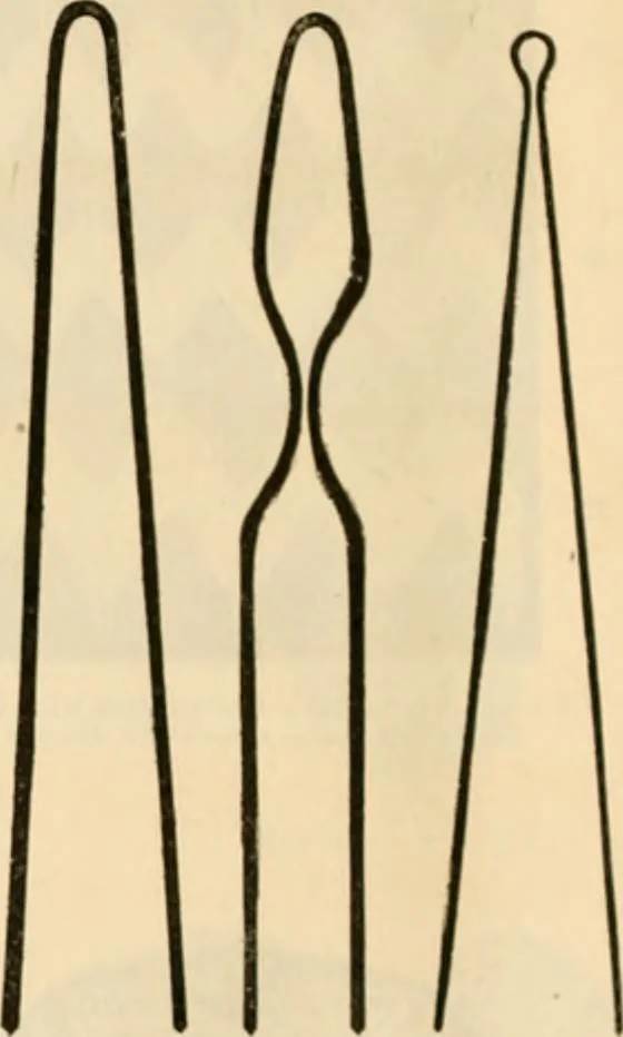 An illustration from Illustrated catalogue and shopping guide., 1886, leaf 77