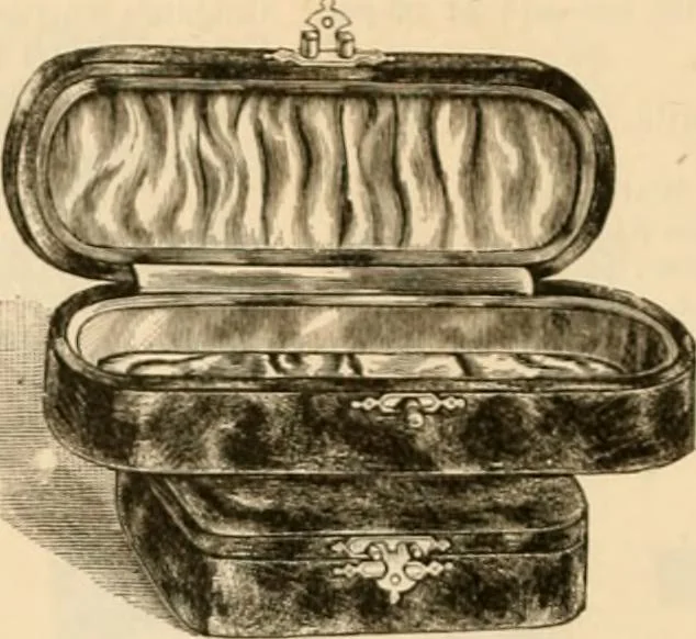 An illustration from Illustrated catalogue and shopping guide., 1886, leaf 79
