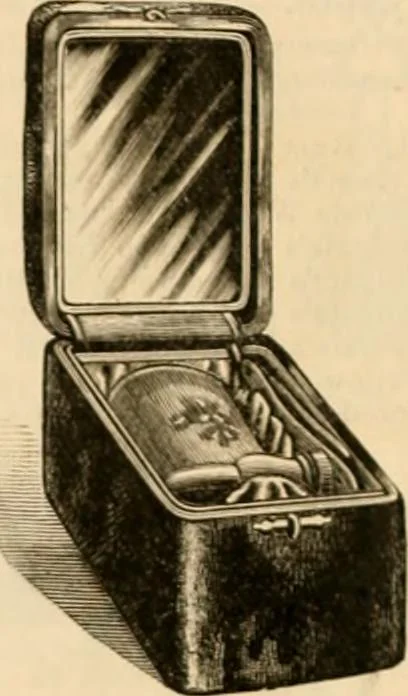 An illustration from Illustrated catalogue and shopping guide., 1886, leaf 79