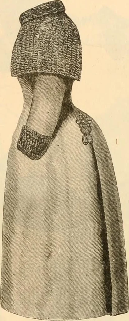 An illustration from Illustrated catalogue and shopping guide., 1886, leaf 8