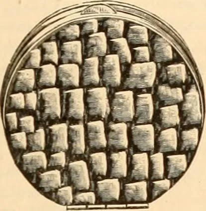 An illustration from Illustrated catalogue and shopping guide., 1886, leaf 80