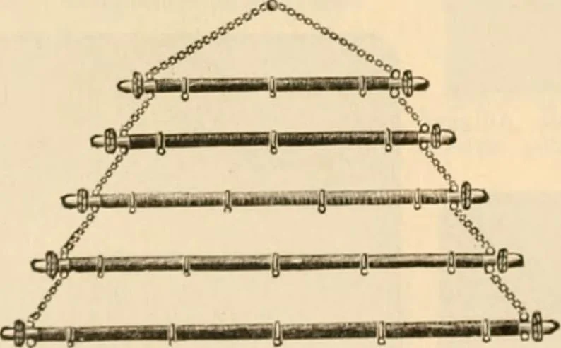 An illustration from Illustrated catalogue and shopping guide., 1886, leaf 81