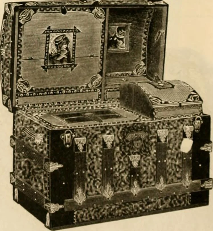 An illustration from Illustrated catalogue and shopping guide., 1886, leaf 85