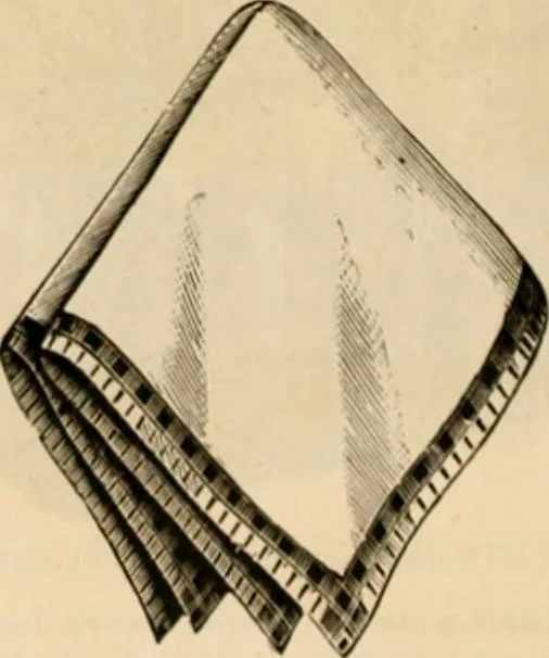 An illustration from Illustrated catalogue and shopping guide., 1886, leaf 87
