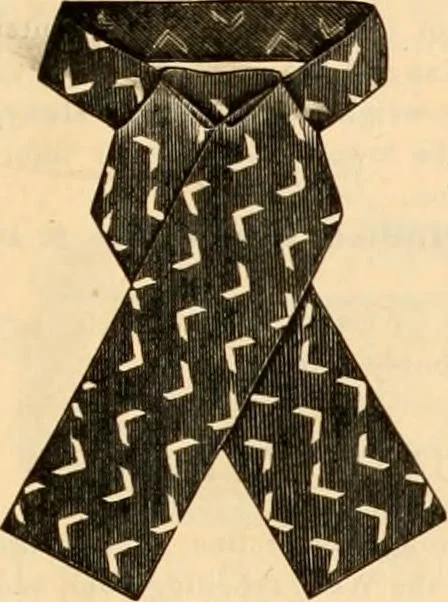 An illustration from Illustrated catalogue and shopping guide., 1886, leaf 92
