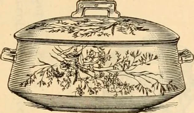 An illustration from Illustrated catalogue and shopping guide., 1886, leaf 94