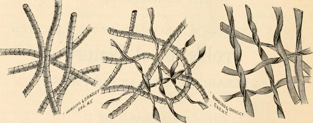An illustration from Illustrated catalogue and price list., 1901, leaf 11