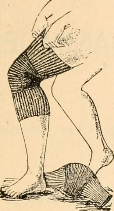 An illustration from Illustrated catalogue and price list., 1901, leaf 44