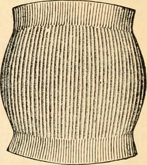 An illustration from Illustrated catalogue and price list., 1901, leaf 45