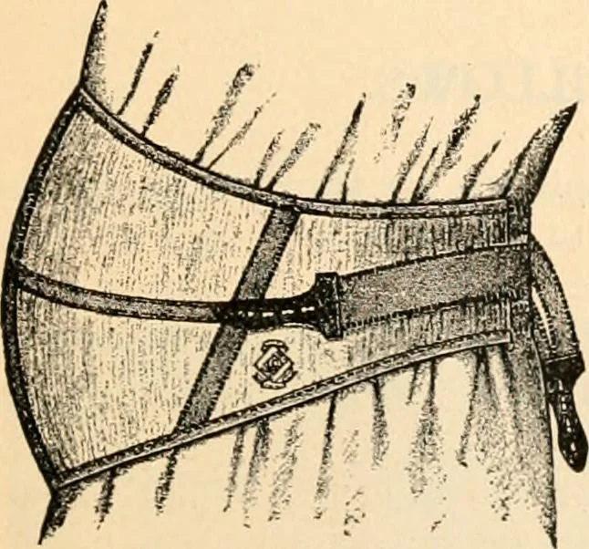 An illustration from Illustrated catalogue and price list., 1901, leaf 46