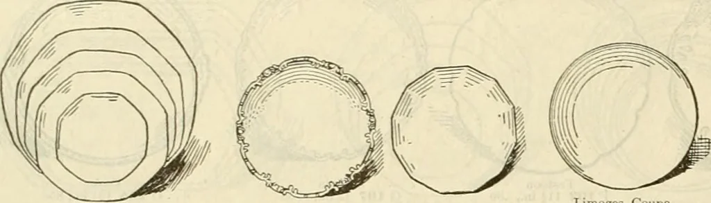 An illustration from Illustrated catalogue with prices : white china and complete list of china painters' materials., 1913, leaf 11