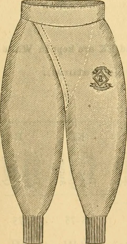 An illustration from Illustrated catalogue .., 1891, leaf 36