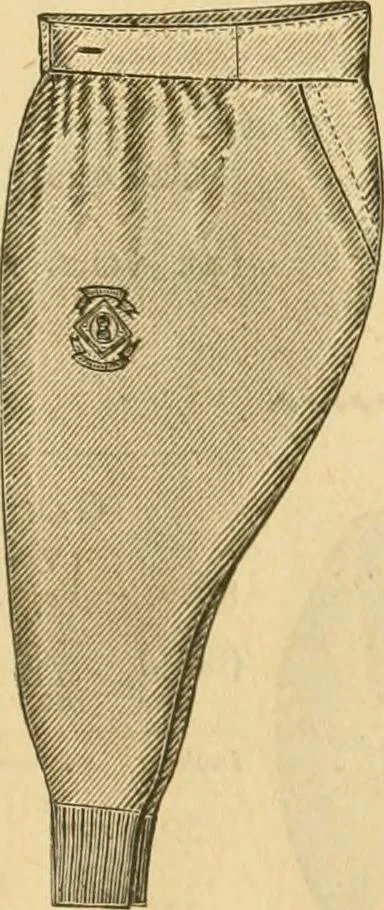 An illustration from Illustrated catalogue .., 1891, leaf 36