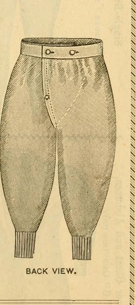 An illustration from Illustrated catalogue .., 1891, leaf 36