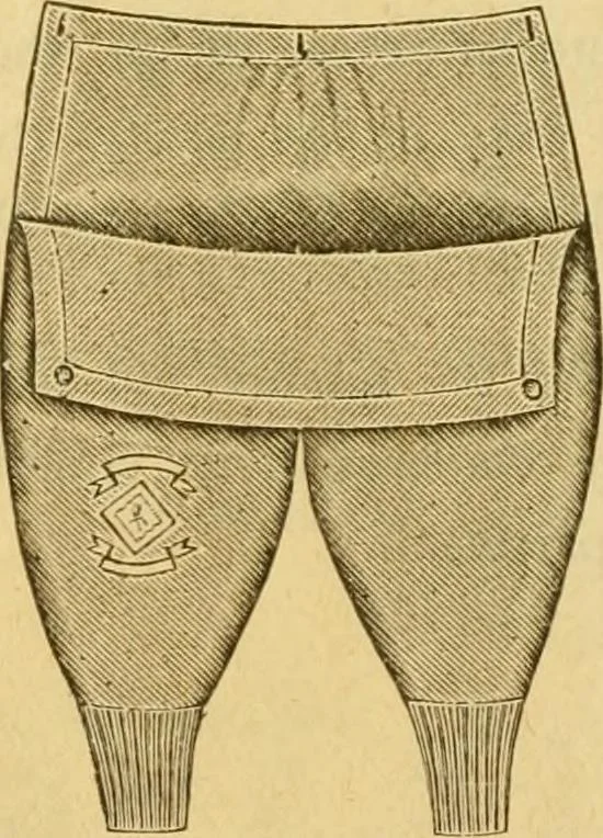 An illustration from Illustrated catalogue .., 1891, leaf 41