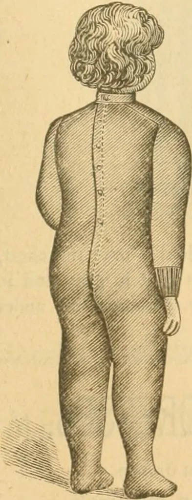 An illustration from Illustrated catalogue .., 1891, leaf 42