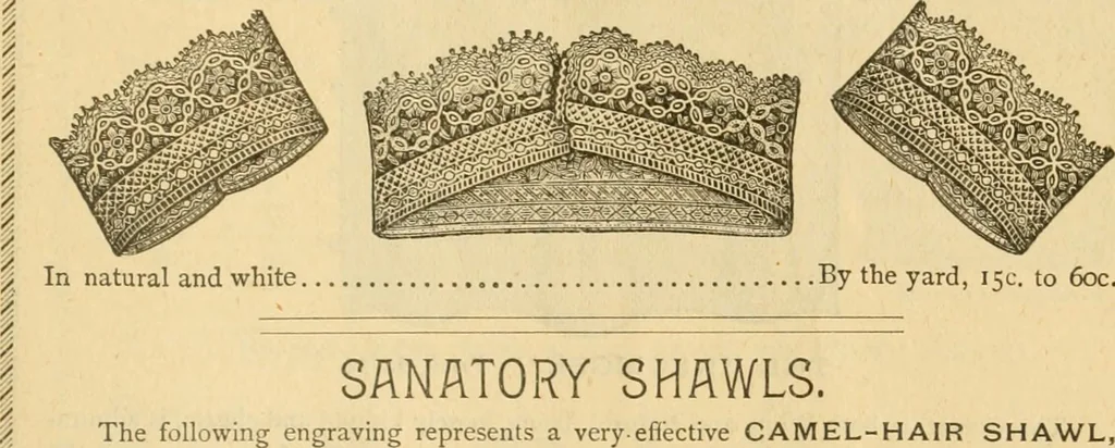An illustration from Illustrated catalogue .., 1891, leaf 48