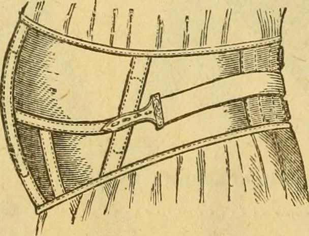 An illustration from Illustrated catalogue .., 1891, leaf 49