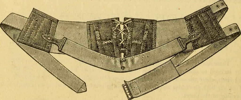 An illustration from Illustrated catalogue .., 1891, leaf 51