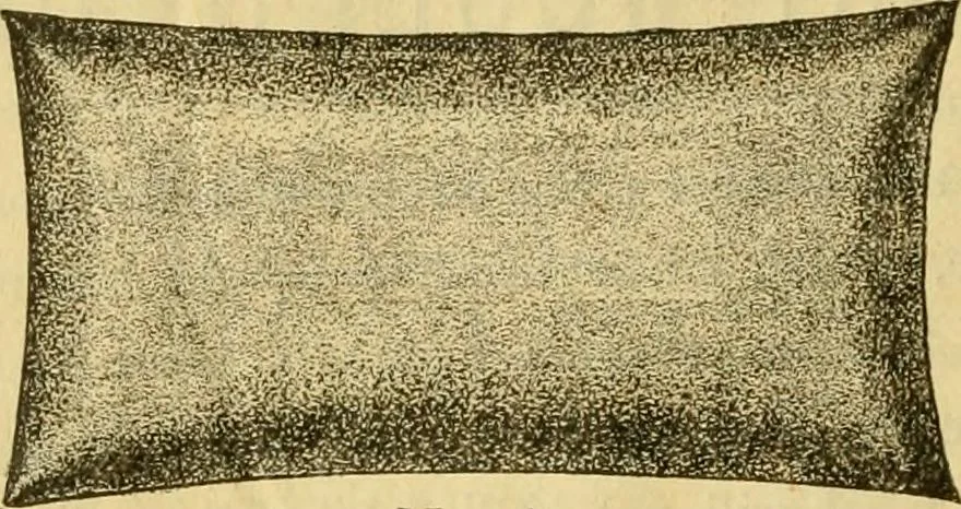 An illustration from Illustrated catalogue .., 1891, leaf 53