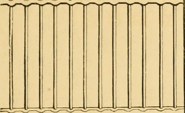 An illustration from Illustrated catalogue and price list, 1875, leaf 18