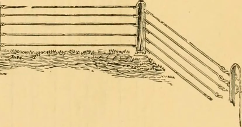 An illustration from Illustrated catalogue and price list, 1875, leaf 26