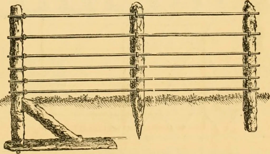 An illustration from Illustrated catalogue and price list, 1875, leaf 30