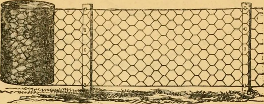 An illustration from Illustrated catalogue and price list, 1875, leaf 42