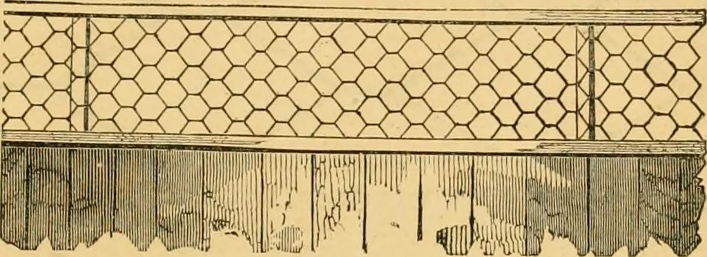 An illustration from Illustrated catalogue and price list, 1875, leaf 42
