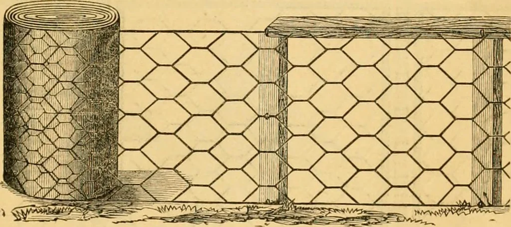 An illustration from Illustrated catalogue and price list, 1875, leaf 42