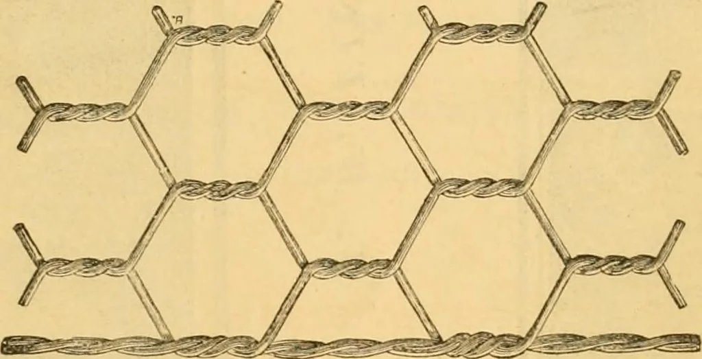 An illustration from Illustrated catalogue and price list, 1875, leaf 46