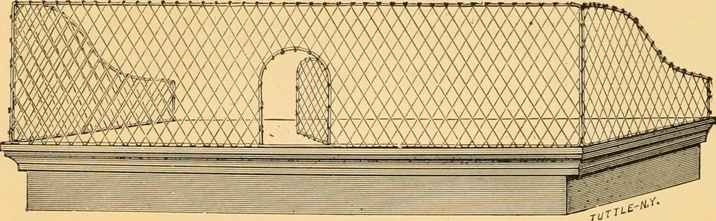 An illustration from Illustrated catalogue and price list, 1875, leaf 5