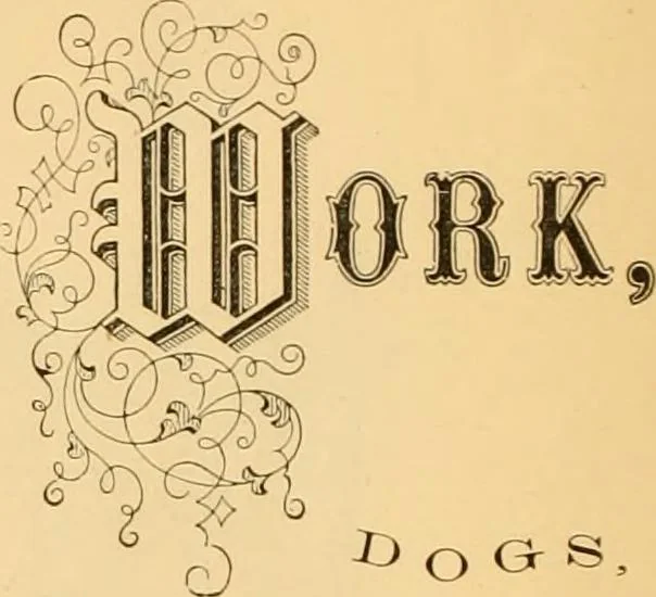 An illustration from Illustrated catalogue and price list, 1875, leaf 57