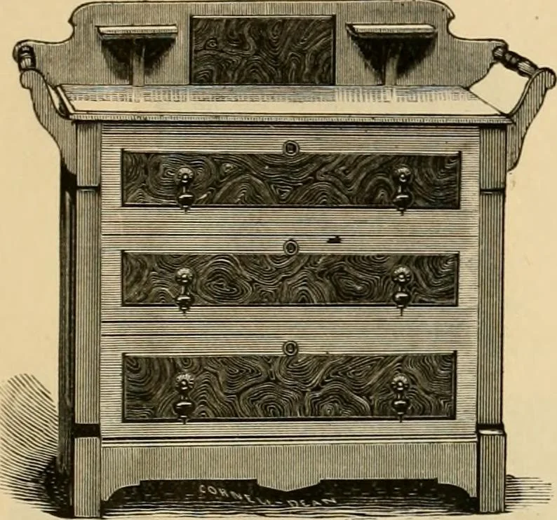 An illustration from Illustrated catalogue., 1881, leaf 24
