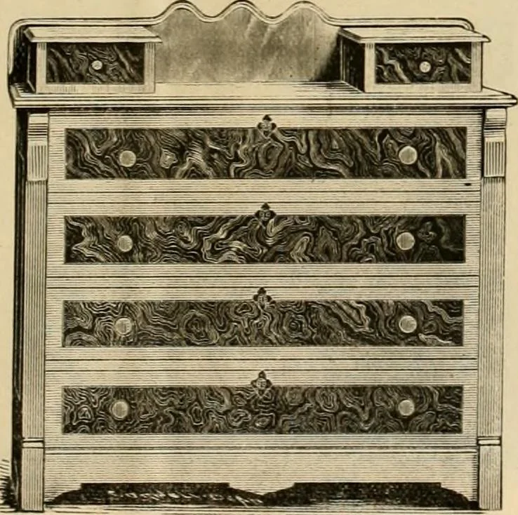 An illustration from Illustrated catalogue., 1881, leaf 24