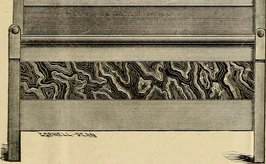 An illustration from Illustrated catalogue., 1881, leaf 28