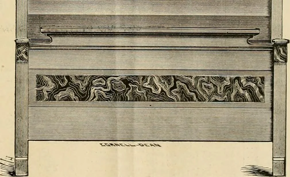 An illustration from Illustrated catalogue., 1881, leaf 28