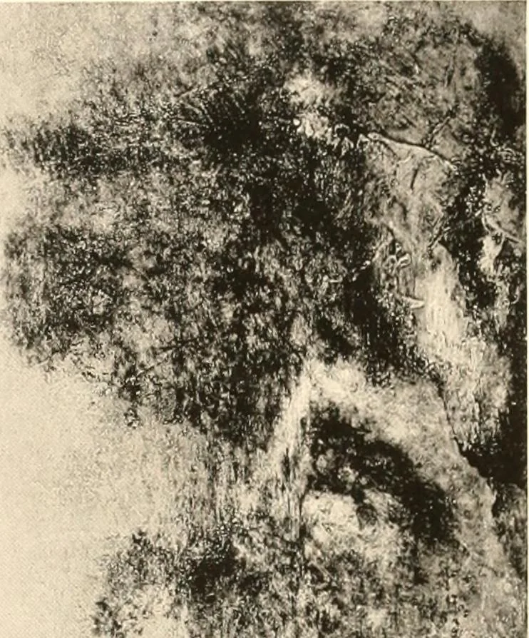 An illustration from Illustrated catalogue of the valuable paintings and sculptures by old and modern masters forming the famous Catholina Lambert collection, 1916, leaf 105